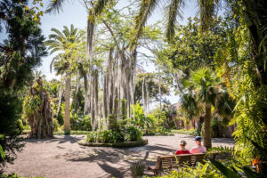 jardin-botanico-puerto-cruz, junio