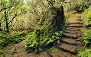 Visitar anaga, calma, Ruhe