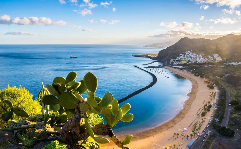 Tenerife norte vs tenerife sur
