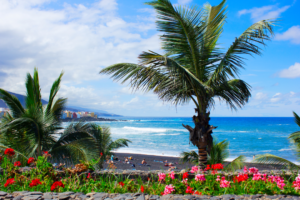 Primavera, Frühling